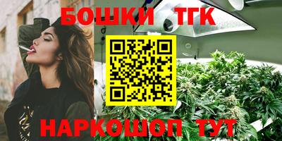 стафф Лесосибирск