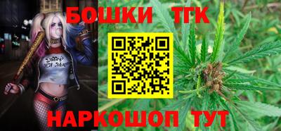 стафф Лесосибирск
