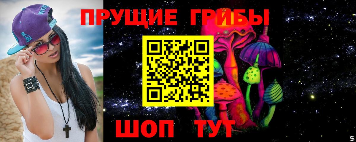 Галлюциногенные грибы мицелий Энгельс